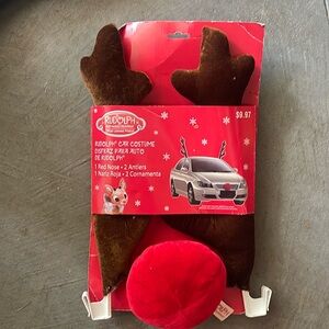 Rudolph Car Costume
